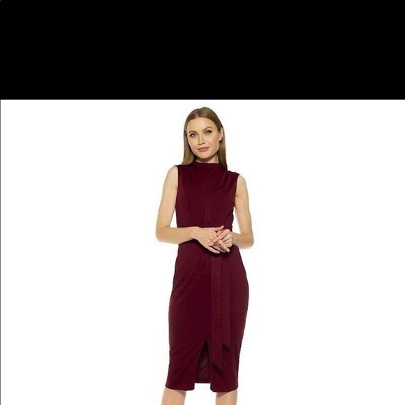 Alexia Admor Burgundy Dress new with tags. Runs small - Picture 6 of 6